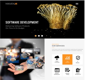 Web Development & UI/UX Design Palam Vihar | Eyeconic Pixel